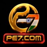 PE7 Game Features and User Dashboard